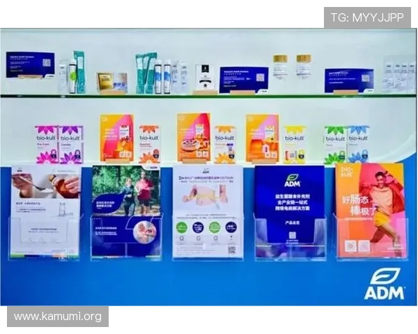 好博体育官网app最新版本下载安装指南，全面提升您的游戏体验与账号安全保障